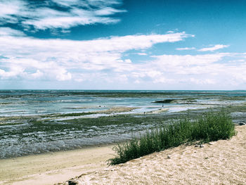 Scenic view of beach against cloudy sky