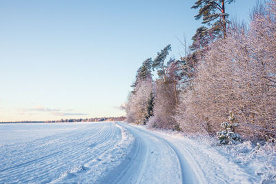 A beautiful, calm winter landscape in the rural area of latvia, northern europe. 