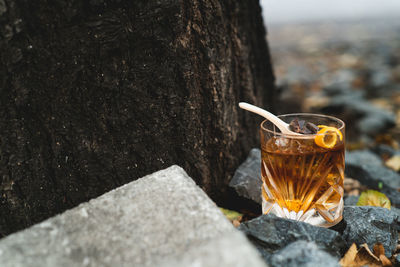 Close-up of drink on tree trunk