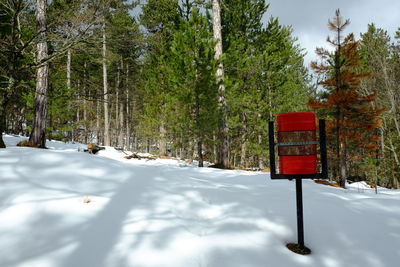 Snow covered land and trees in forest