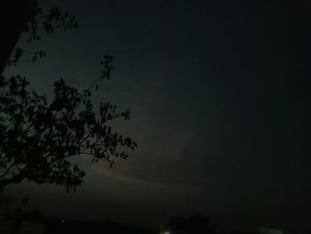 Low angle view of silhouette tree against sky at night