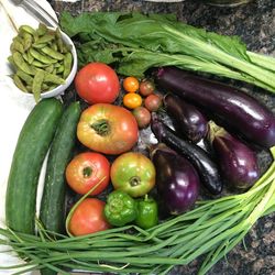 Tomatoes and vegetables in basket