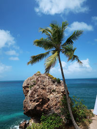 Palm tree by sea against sky