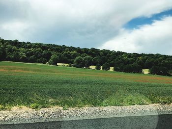 Scenic view of field against sky