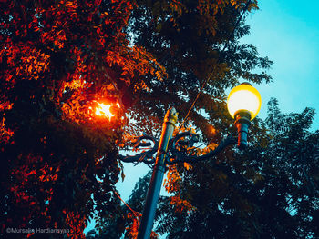 Low angle view of illuminated street light against sky