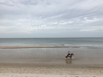 Scenic view of sea against sky