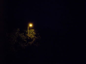 Illuminated tree against sky at night