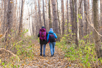 Rear view of women walking in forest