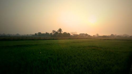 Scenic view of field against sky during sunset