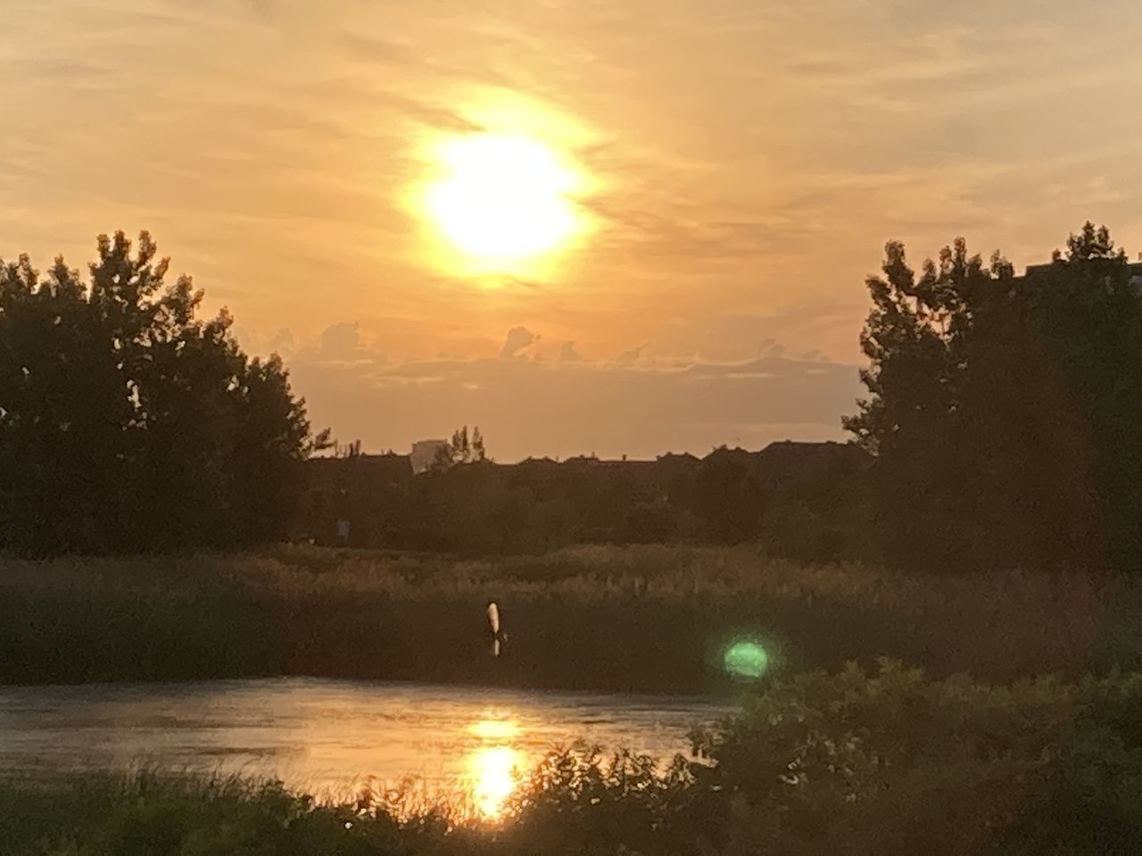 SILHOUETTE TREES BY LAKE AGAINST ORANGE SKY