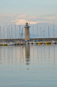 Sailboats in marina