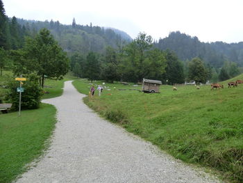 Panoramic view of road amidst trees on field against sky