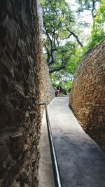 People on tree trunk