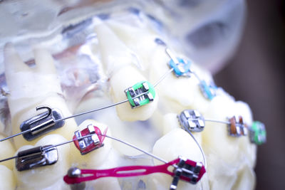 Close-up of artificial teeth