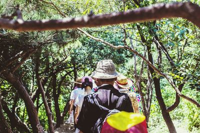 People walking on tree trunk