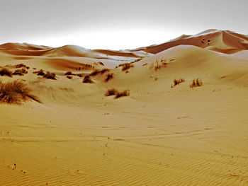 Scenic view of desert against sky