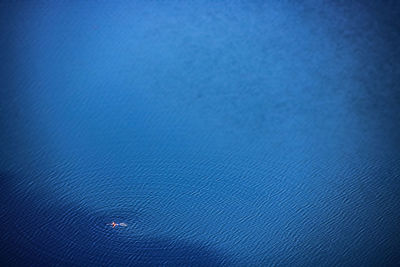 Aerial view of man swimming in sea