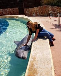 High angle view of woman touching dolphin in swimming pool