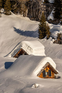 Mountain pasture in winter