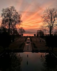 Silhouette trees against sky during sunset