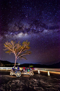 Bicycles against trees at night