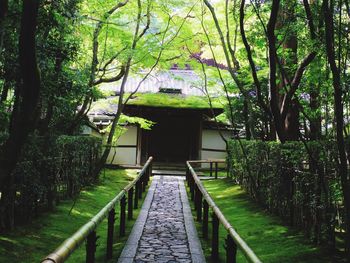 Walkway leading to park