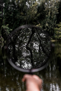 Person holding tree by lake