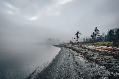 Westcoast beach on a foggy morning 