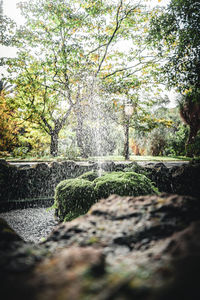 Surface level of water flowing in park