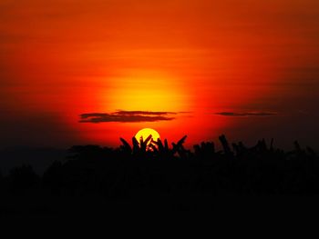 Scenic view of orange sky over silhouette landscape