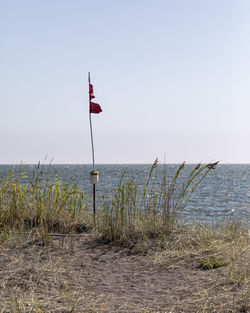 Scenic view of beach against clear sky