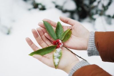 Close-up of woman hand holding flower