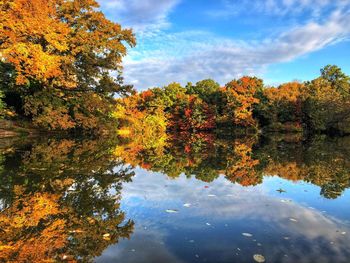 Reflection of trees on lake during autumn