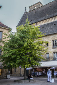 Trees and buildings against sky in city