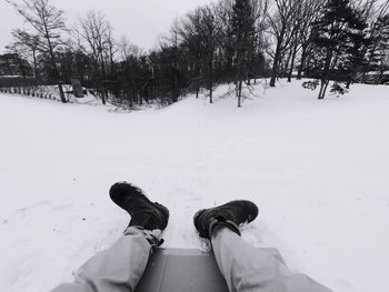 Low section of man on snow covered tree