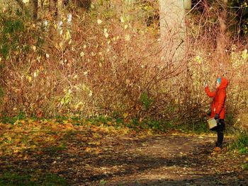 Rear view of woman walking in forest during autumn