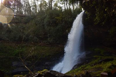 Scenic view of waterfall in forest