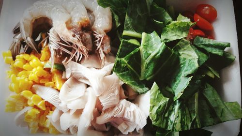 Close-up of food