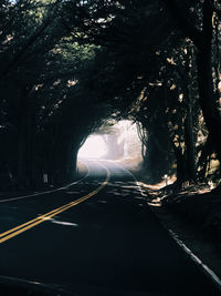 View of road along trees