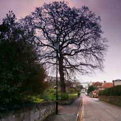 Empty road along trees