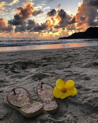 Close-up of beach against sky during sunset