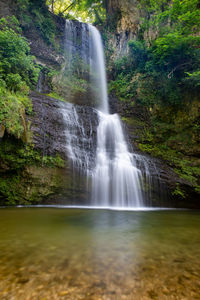 Scenic view of waterfall in forest