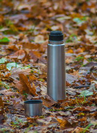 A thermos and a cup with hot tea in the forest in fall with many yellow leaves in the background. 