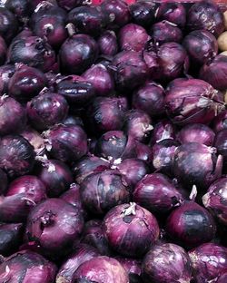 Full frame shot of fruits for sale