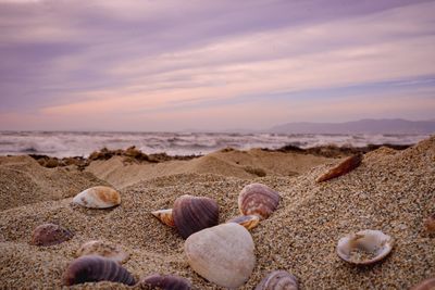 Surface level of pebble beach against sky during sunset