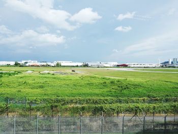 Scenic view of field against sky