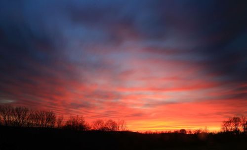 Silhouette trees on field against dramatic sky