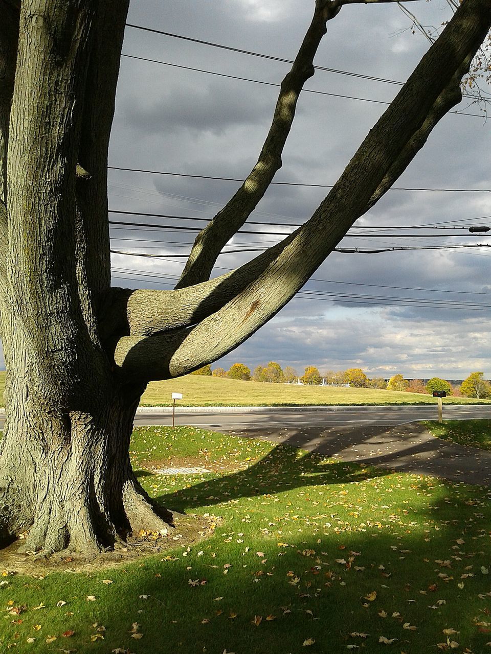 nature, sky, tree, day, outdoors, grass, beauty in nature, no people, tranquility, water, scenics