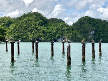 Wooden posts in lake against sky