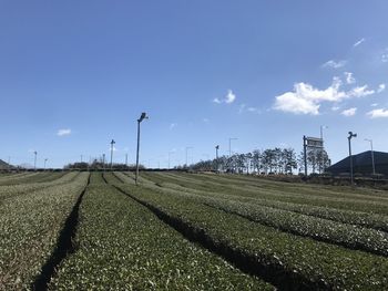 Scenic view of farm against sky